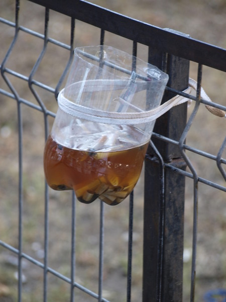 soseaua&#45;giurgiului&#45;2010&#45;31