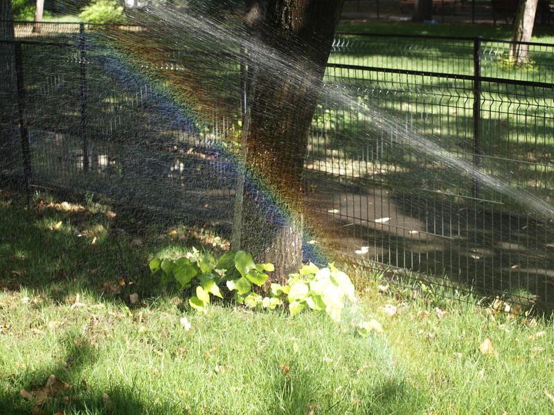 soseaua&#45;giurgiului&#45;2010&#45;9