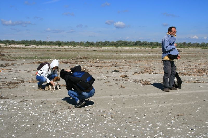 andreib_sghp-2010_14