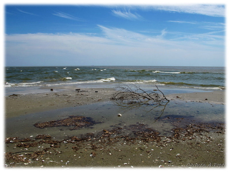 Marea de Sf. Gheorghe