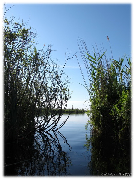 am scapat de plauri!