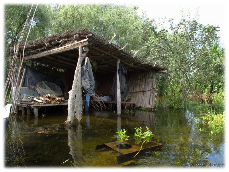 rezultatul inundatiei