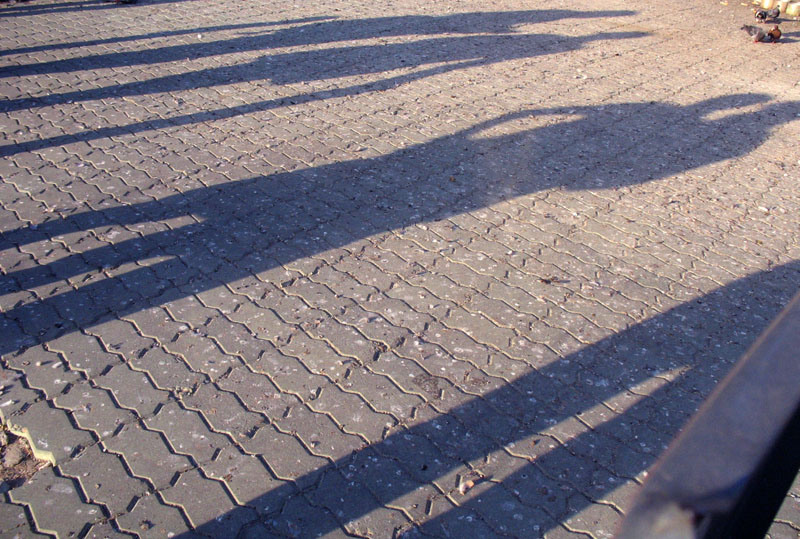 grup&#45;de&#45;fotografi