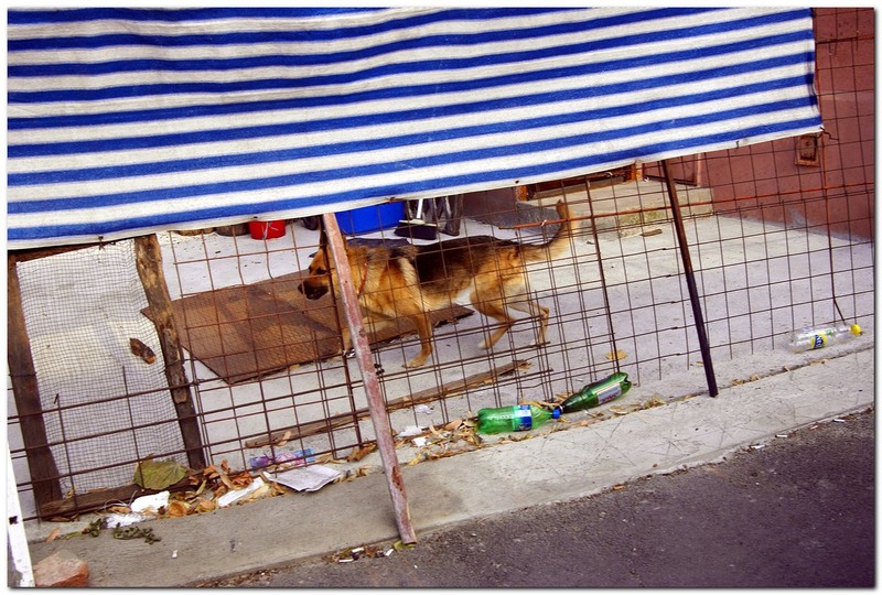 toamna-pe-strtoamnei_013