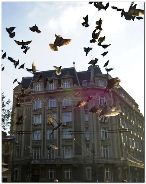 toamna-pe-strtoamnei_030