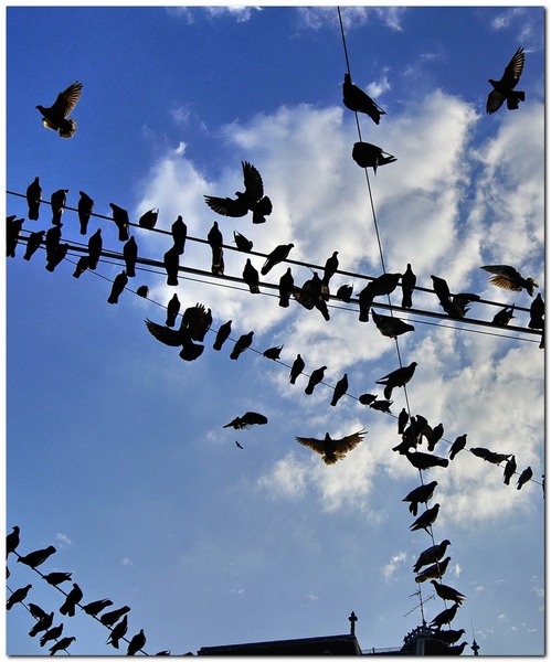 toamna-pe-strtoamnei_031