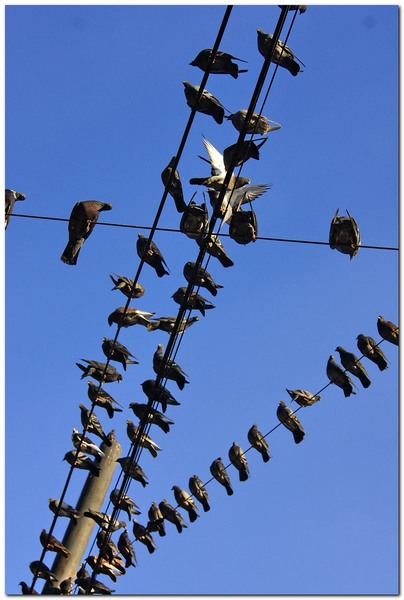 toamna-pe-strtoamnei_032