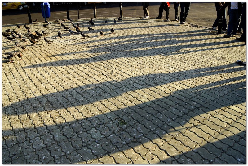 toamna-pe-strtoamnei_033