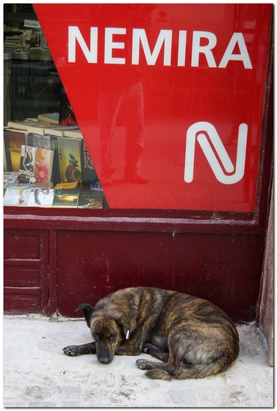 toamna-pe-strtoamnei_040