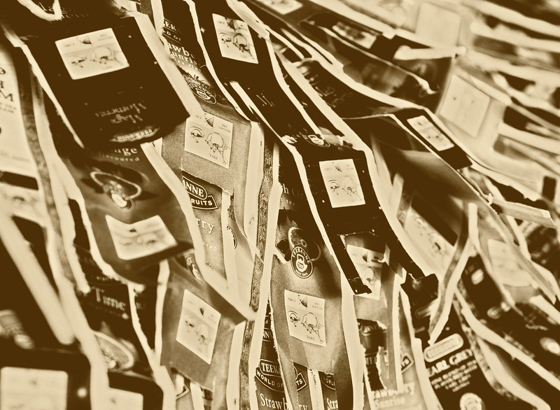 dsc_2254_revcrop_2_resize