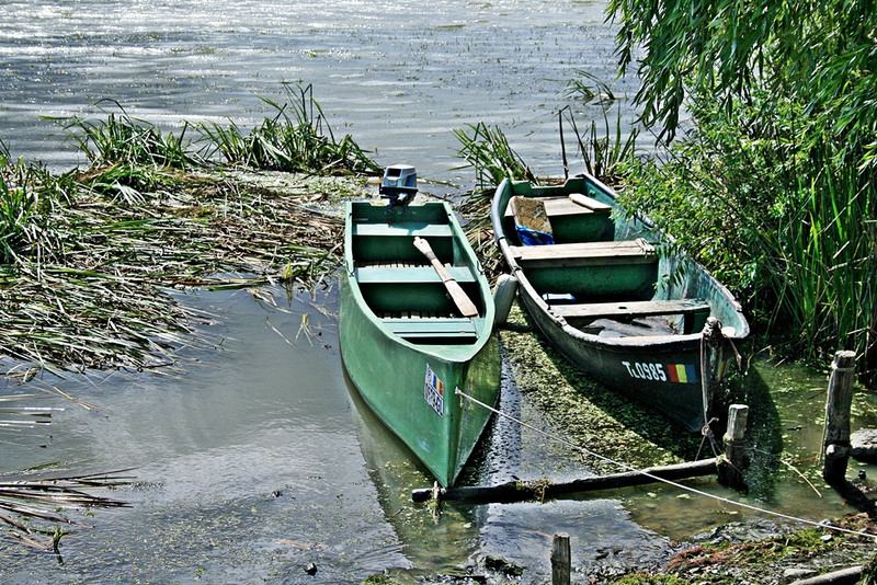 4997037158_c46a510a81_b