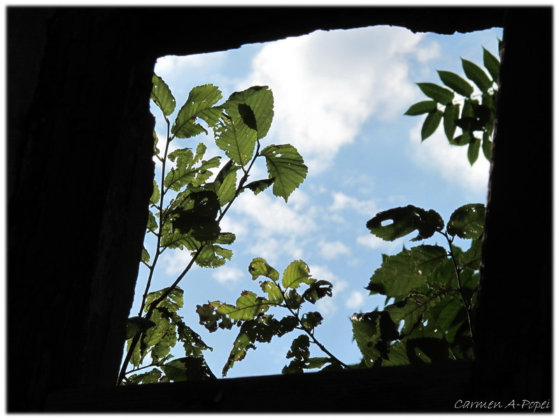 si totusi...natura invinge