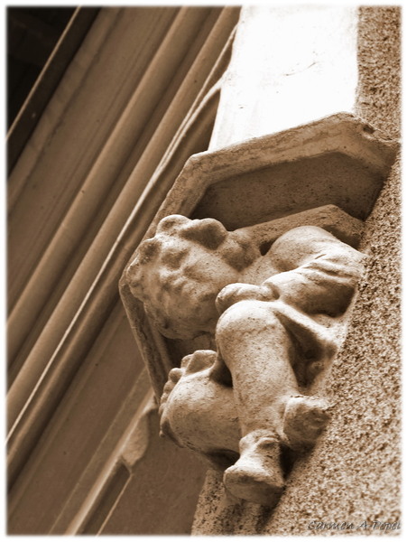 strada semilunei colt cu strada pasului