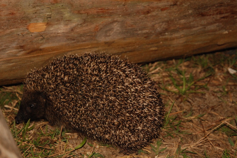 delta-sept-2010-018-1