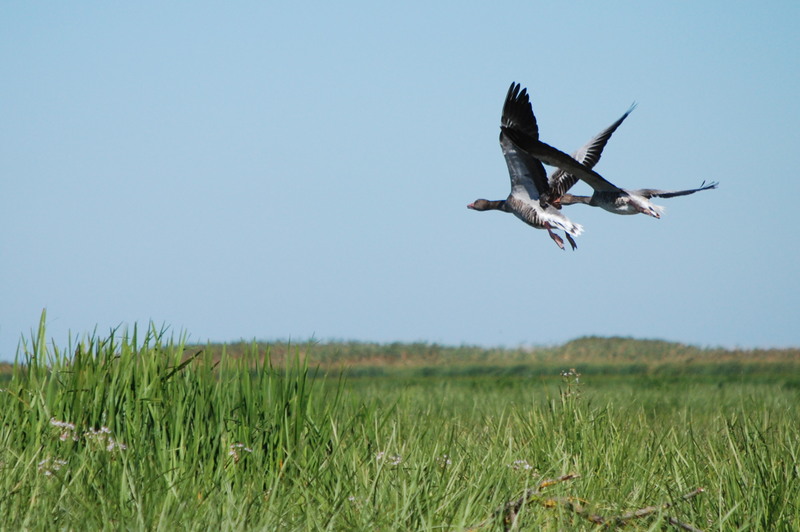 delta-sept-2010-317-1