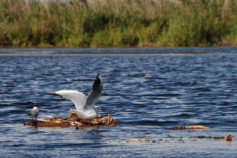 excursie-sulina-060-1