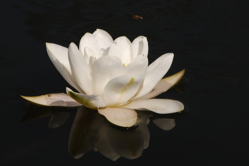 excursie-sulina-082-1