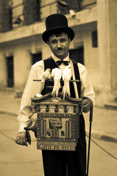 vernisaj-mic-26-of-37