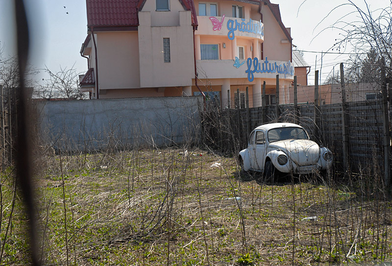 gradinitafluturasilor