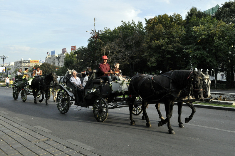 plimbari-cu-trasura-la-zilele-bucurestiului