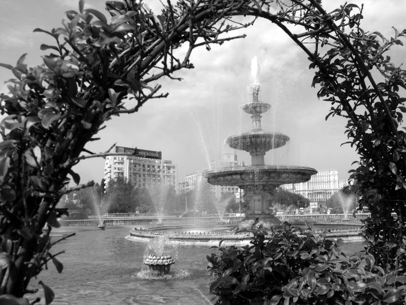 claudiu-negut-hossu-panta-rei