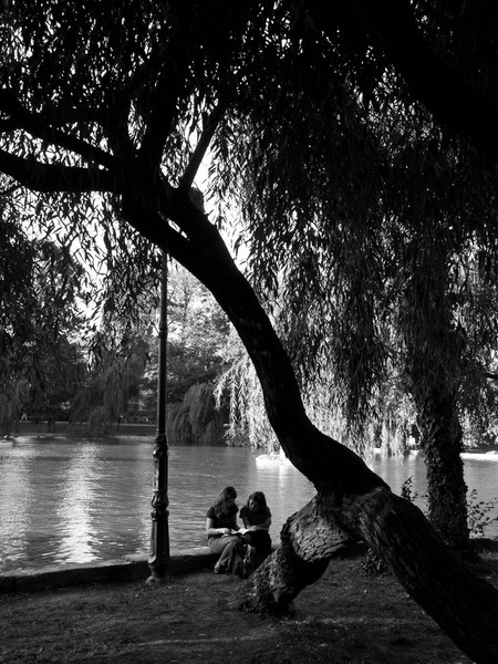 constanta-boroneant-reflexii-de-toamna-in-cismigiu