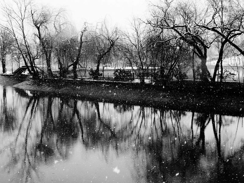 costina-gherasim-siluete