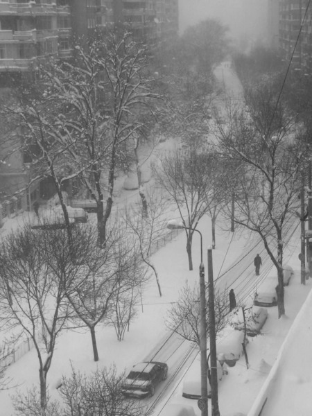 dana-oniga-bucurestii-iarna