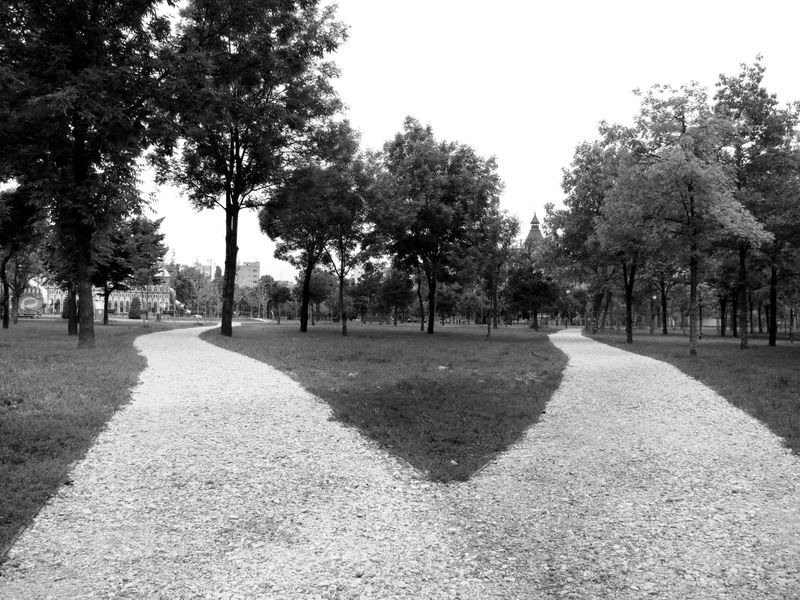 ionut-manoila-pantaloni-albi