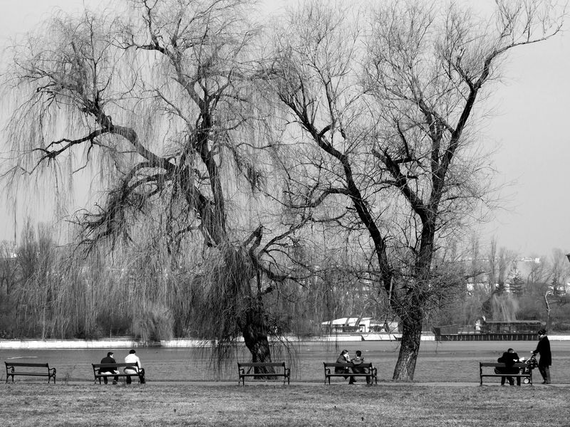 liviu-petcu-desprimavarare-in-herastrau