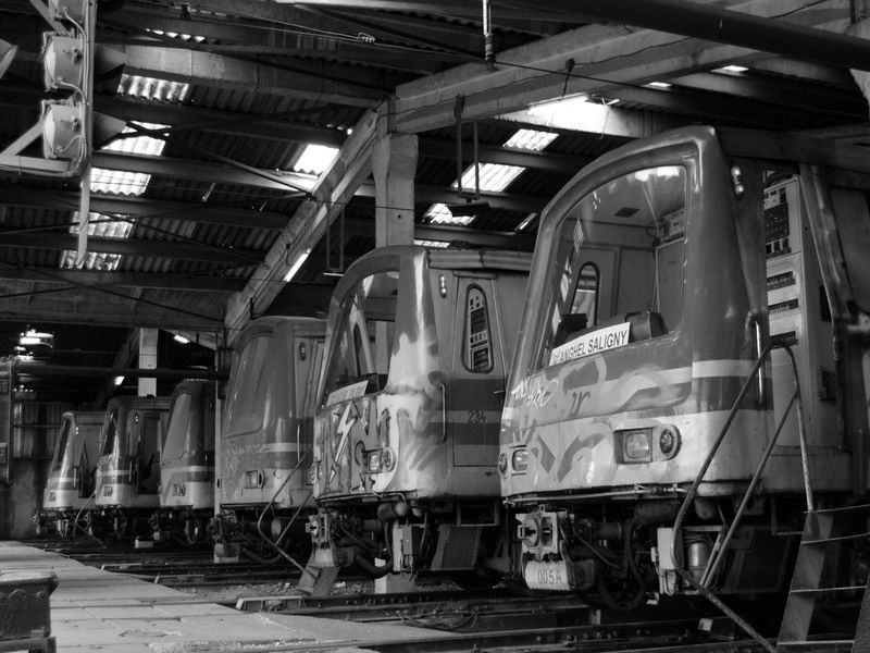 mihaita-enache-taramul-ivelor