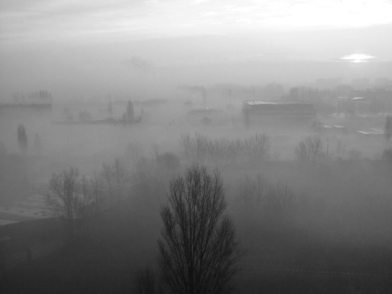 nicolae-irimia-pierdut-in-ceata