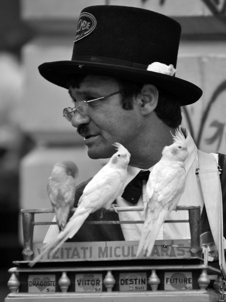 razvan-berbecaru-micul-paris