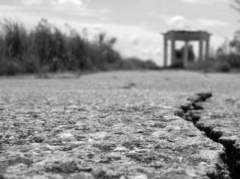 roxana-tanase-lacul-morii