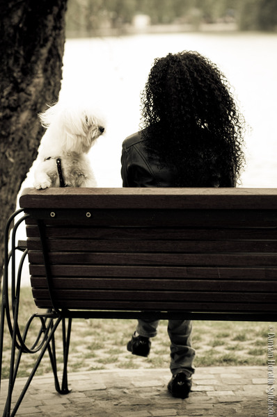 orasul_titan-traian-6