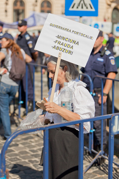 manifestatie-capitala-fistudioro-23