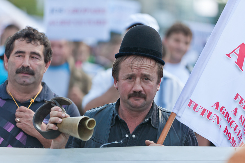 manifestatie-capitala-fistudioro-35