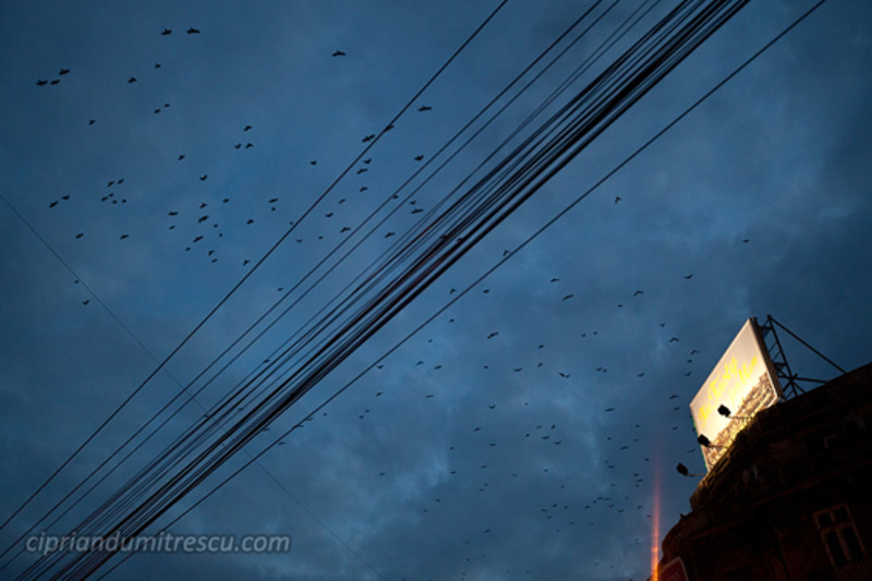 09-ciprian-dumitrescu-bucurestiul-alb-si-negru