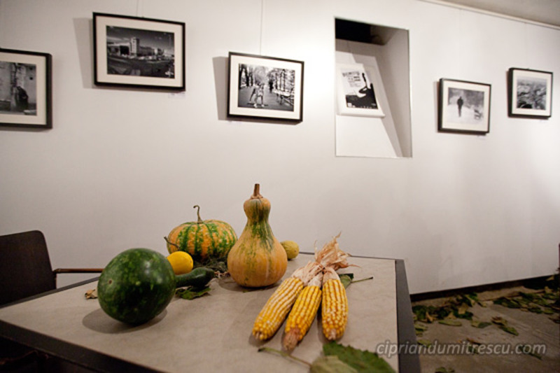 14-ciprian-dumitrescu-bucurestiul-alb-si-negru