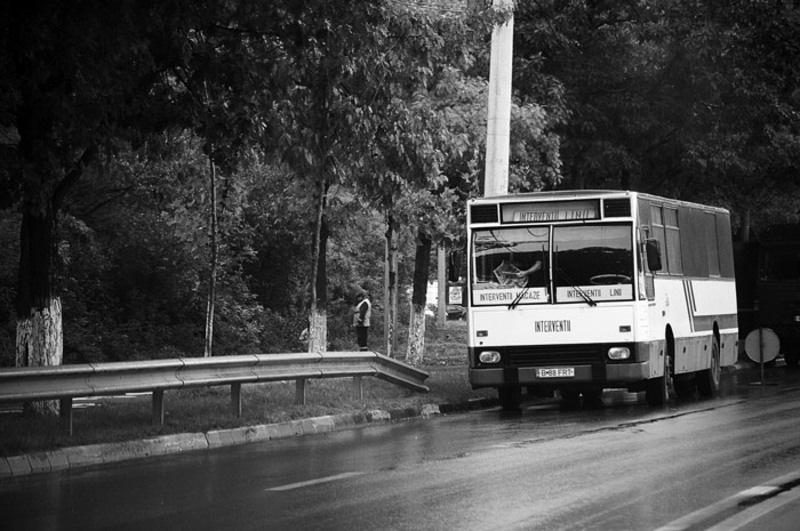 dungha-azi-dimineata_dng301