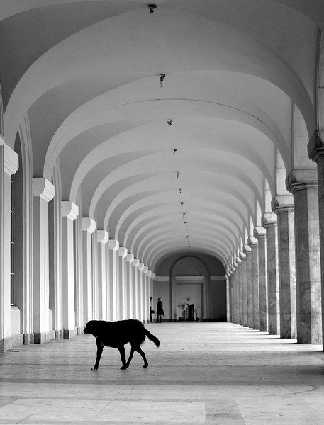 prin-bucuresti-oct-2010-16