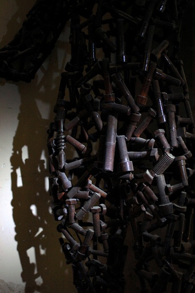 partea masculina a celulei