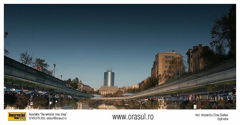 alexandru-dinu-serban