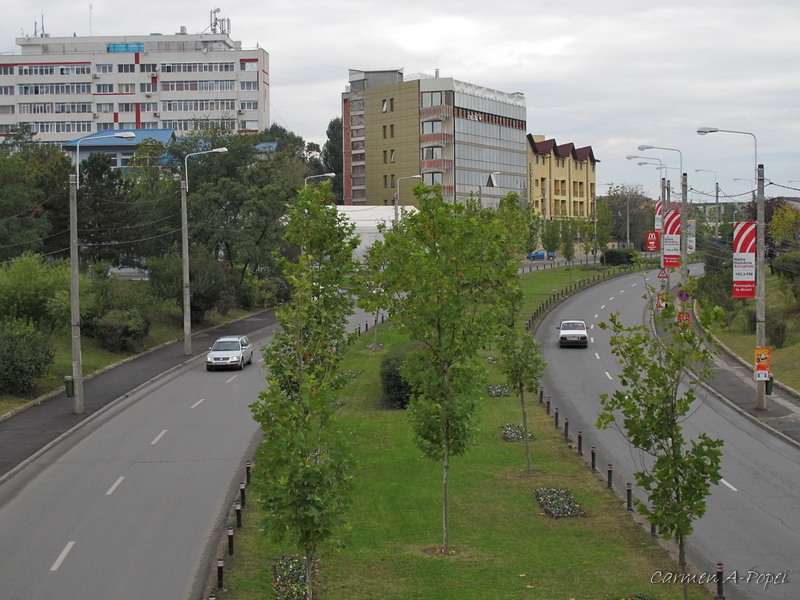 unii vin, altii pleaca