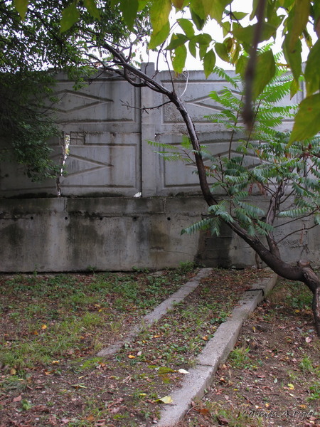 o alee nefunctionala 