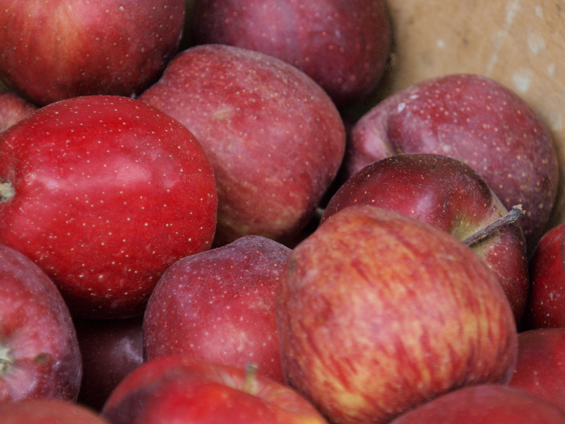 photo-007-10102010-mr