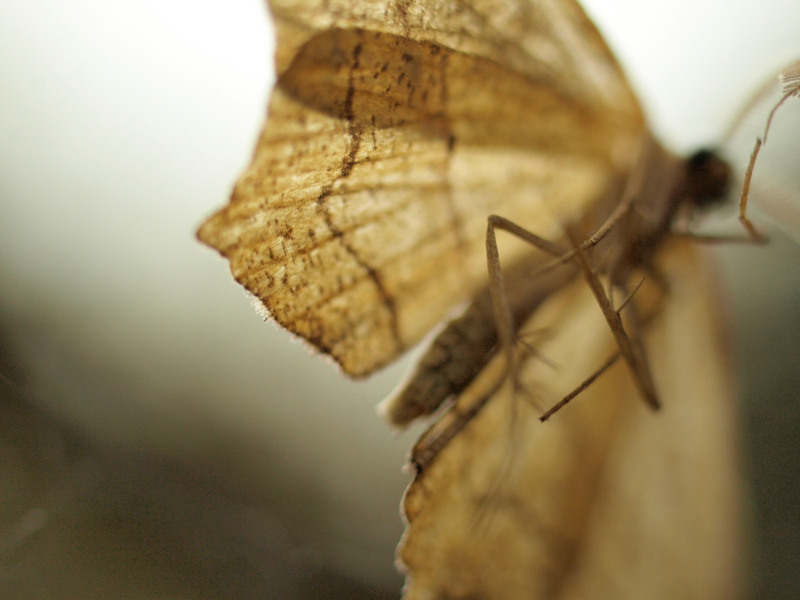 photo-018-10102010-mr