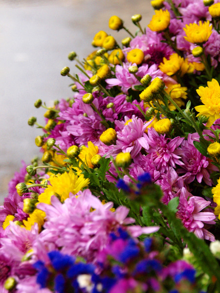 photo-019-10102010-mr