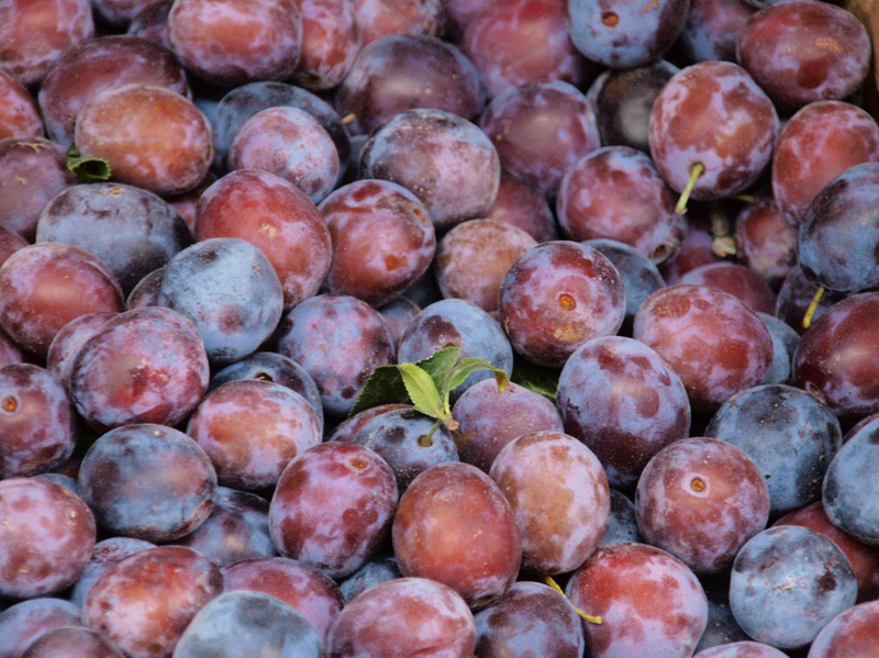 photo-022-10102010-mr