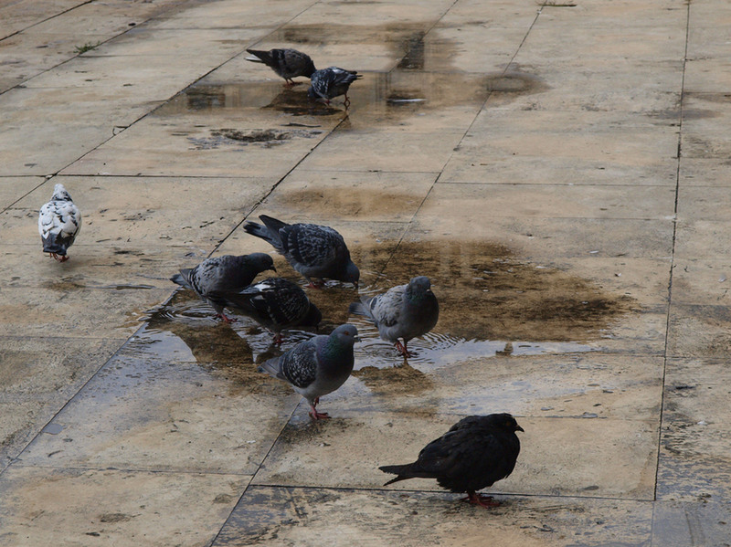 photo-023-10102010-mr